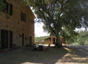 image5 Poggio Macinaio