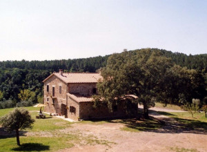 image2 Poggio Macinaio