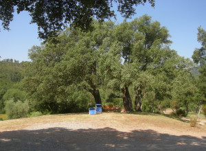 image26 Poggio Macinaio