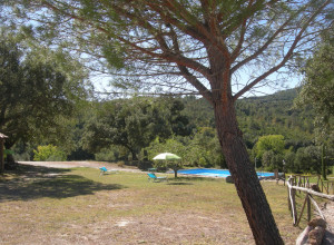 image22 Poggio Macinaio