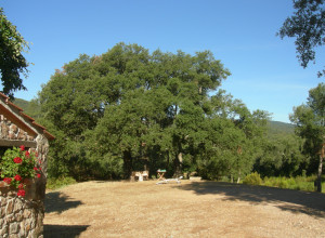 image2 Poggio Macinaio