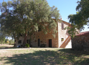 image5 Poggio Macinaio
