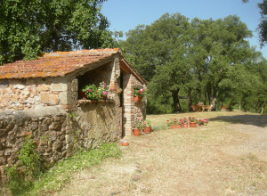 image7 Poggio Macinaio