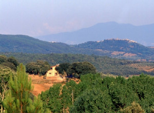 image28 Poggio Macinaio