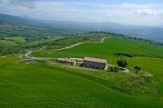 Lucciola Bella