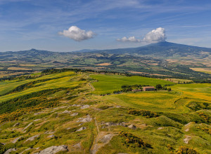 Lucciola Bella