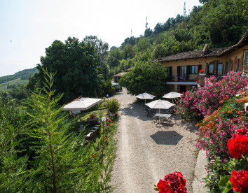 Il Gelso