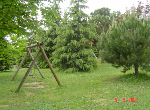 image19 Galanti