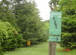 image5 Galanti
