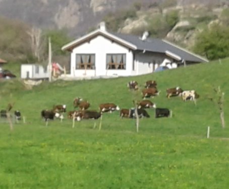 Ferienbauernhof  Le Rocher Fleurì - Donnas