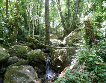 La Quercia Fondachelli Fantina