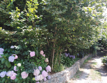 La Quercia Fondachelli Fantina