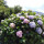 preview image15 esterno