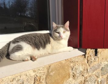 Fattoria didattica - Lemire