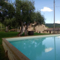 La Collina Degli Ulivi