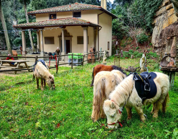 Fattoria di Maiano