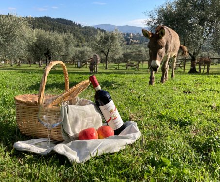 Agritourisme Fattoria Di Maiano - Fiesole