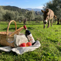 Fattoria Di Maiano
