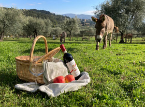 Fattoria di Maiano
