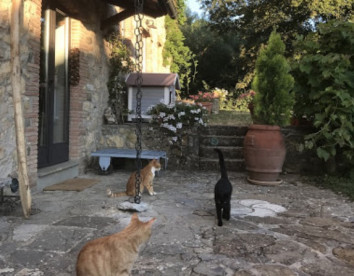 Tenuta Codirosso