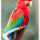 preview image1 esterno
