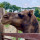 preview image6 esterno