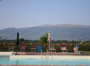 image26 Il Giardino Degli Elfi