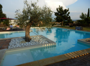 image20 Il Giardino Degli Elfi