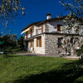 L'uliveto