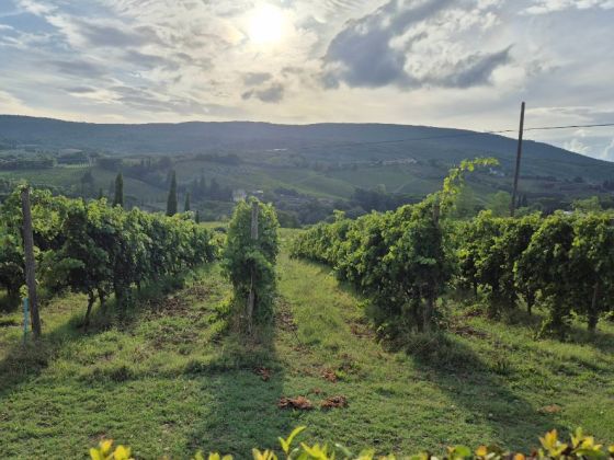 Villa Palagetto  - foto 38