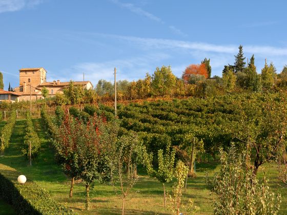 Villa Palagetto  - foto 15