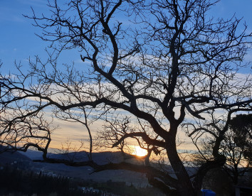L’Oasi di Cice
