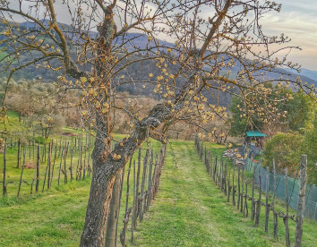 L’Oasi di Cice