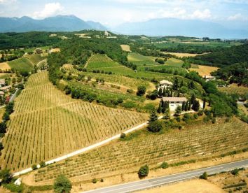 La Guarda (Agriturismo in Cantina)