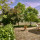 preview image24 giardino