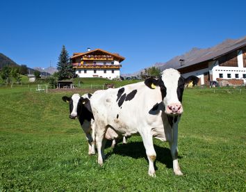 Schneiderhof