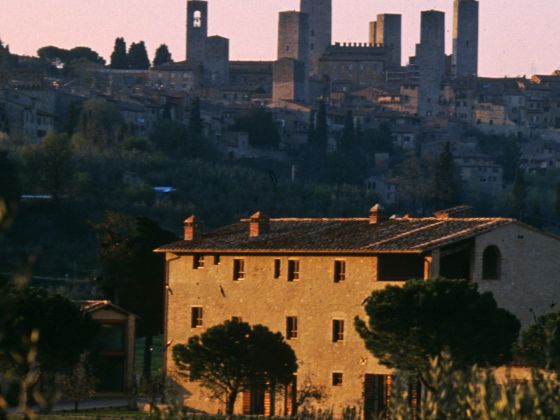 Abbazia Monte Oliveto - foto 6