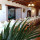 preview image11 ristorante