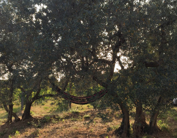 Podere Vecchia Commenda