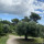 preview image19 giardino