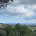 Parisi