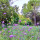 preview image20 parco