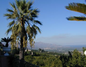 il ciliegio dell etna - Sicilia