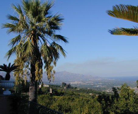 Foto il ciliegio dell etna