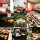 preview image16 attività
