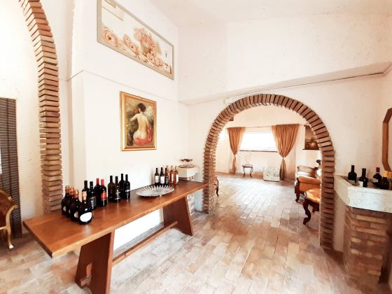 Dimora Il Camaleonte - foto 15