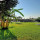 preview image13 giardino