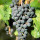 preview image3 esterno