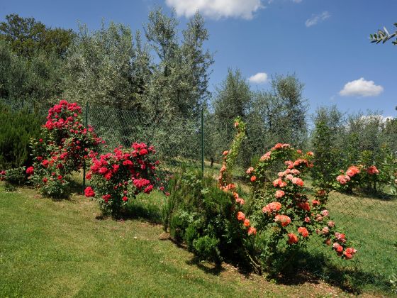 Poggiolo - foto 13