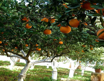 Baglio Spanò -  Antiche Dimore Di Sicilia